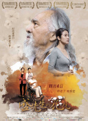 苍穹战争玩法解析：新手必看攻略